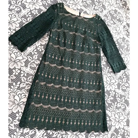 DB established 1962 Dress 4 Green Lace Overlay Tan Lining 3/4 Sleeve Back Zipper - Picture 6 of 10